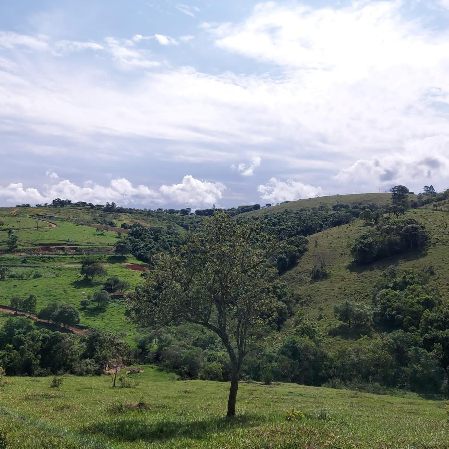 Fazenda Do Engenho 호텔 Santa Rita do Rio Abaixo 외부 사진
