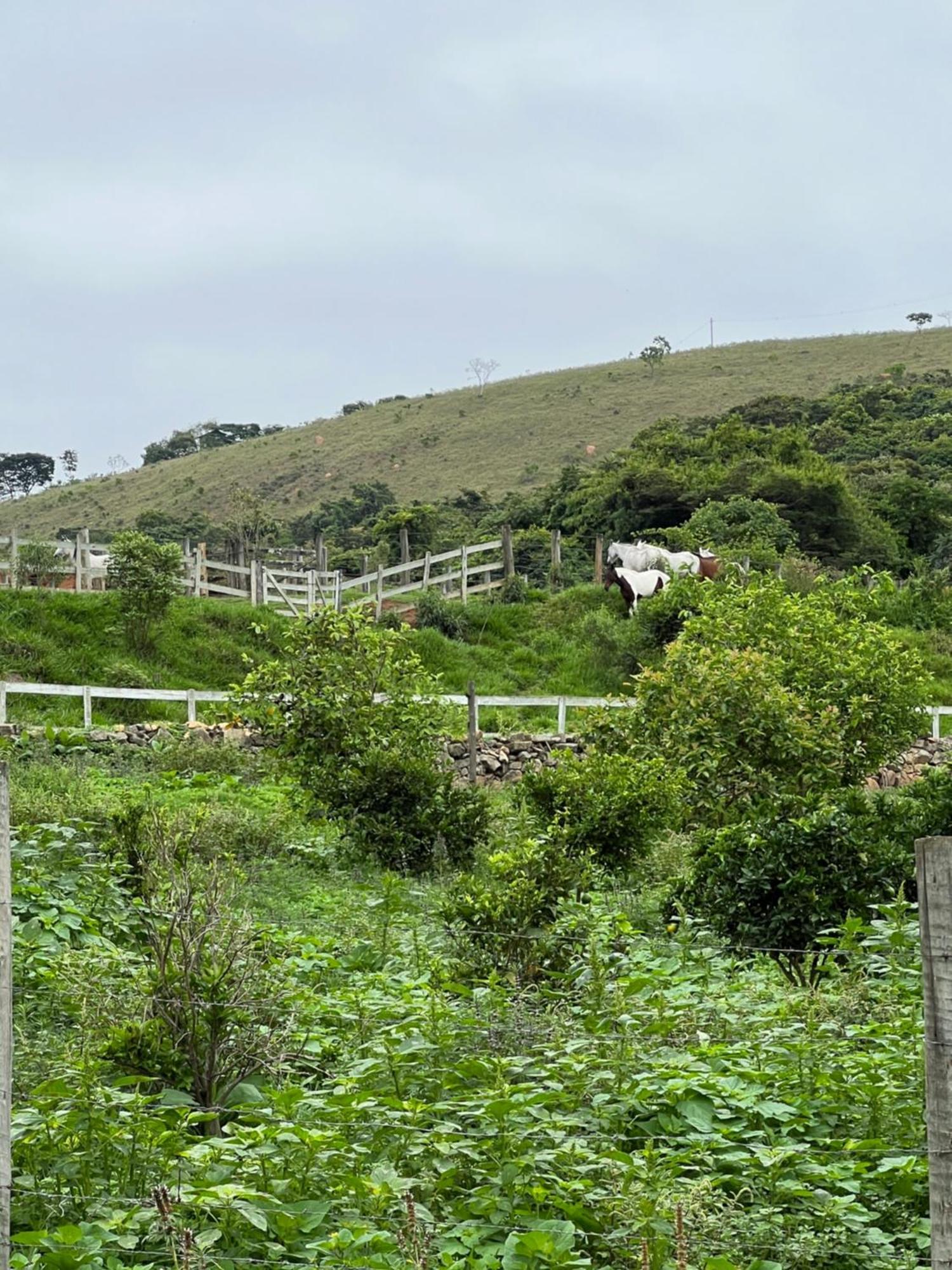 Fazenda Do Engenho 호텔 Santa Rita do Rio Abaixo 외부 사진