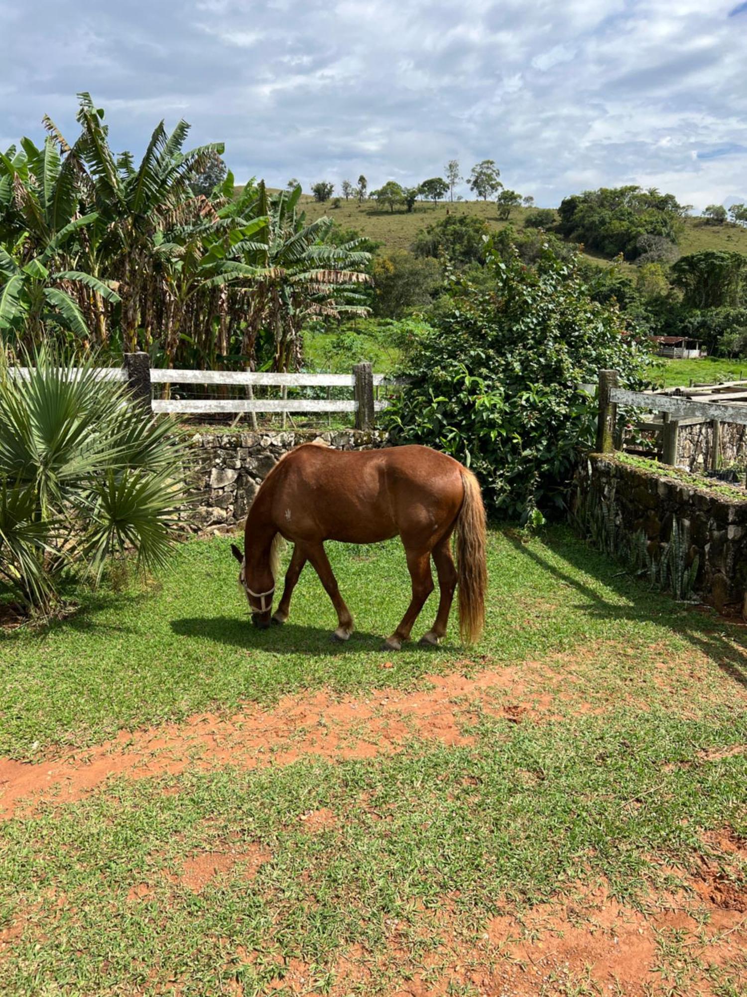 Fazenda Do Engenho 호텔 Santa Rita do Rio Abaixo 외부 사진