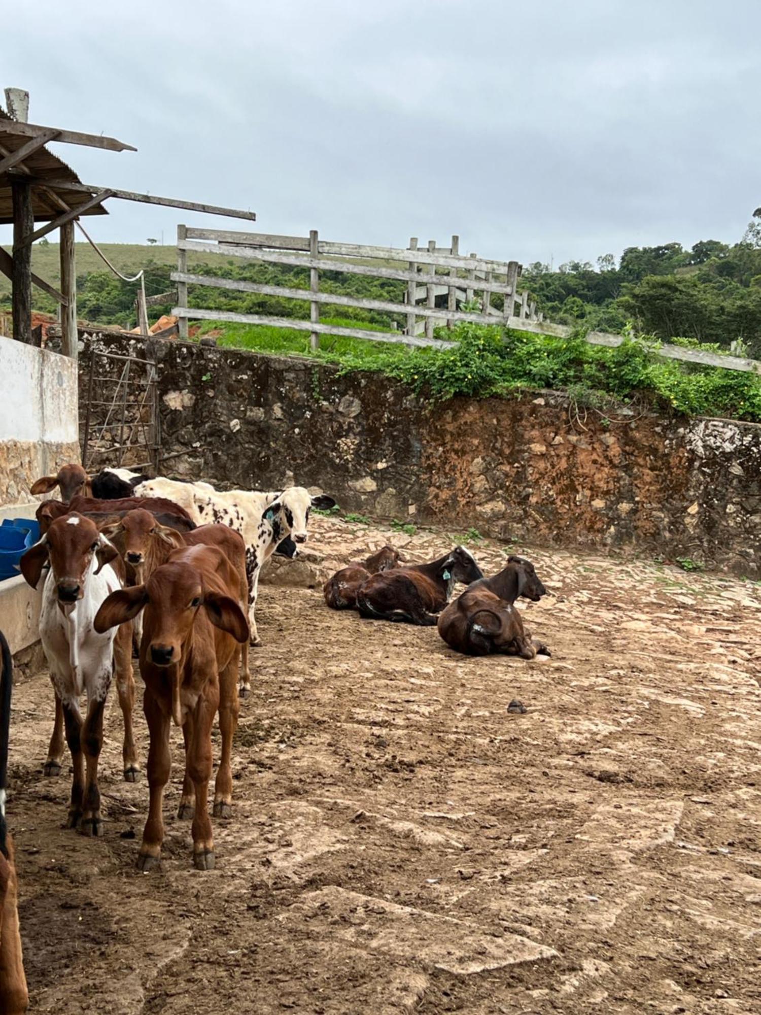 Fazenda Do Engenho 호텔 Santa Rita do Rio Abaixo 외부 사진