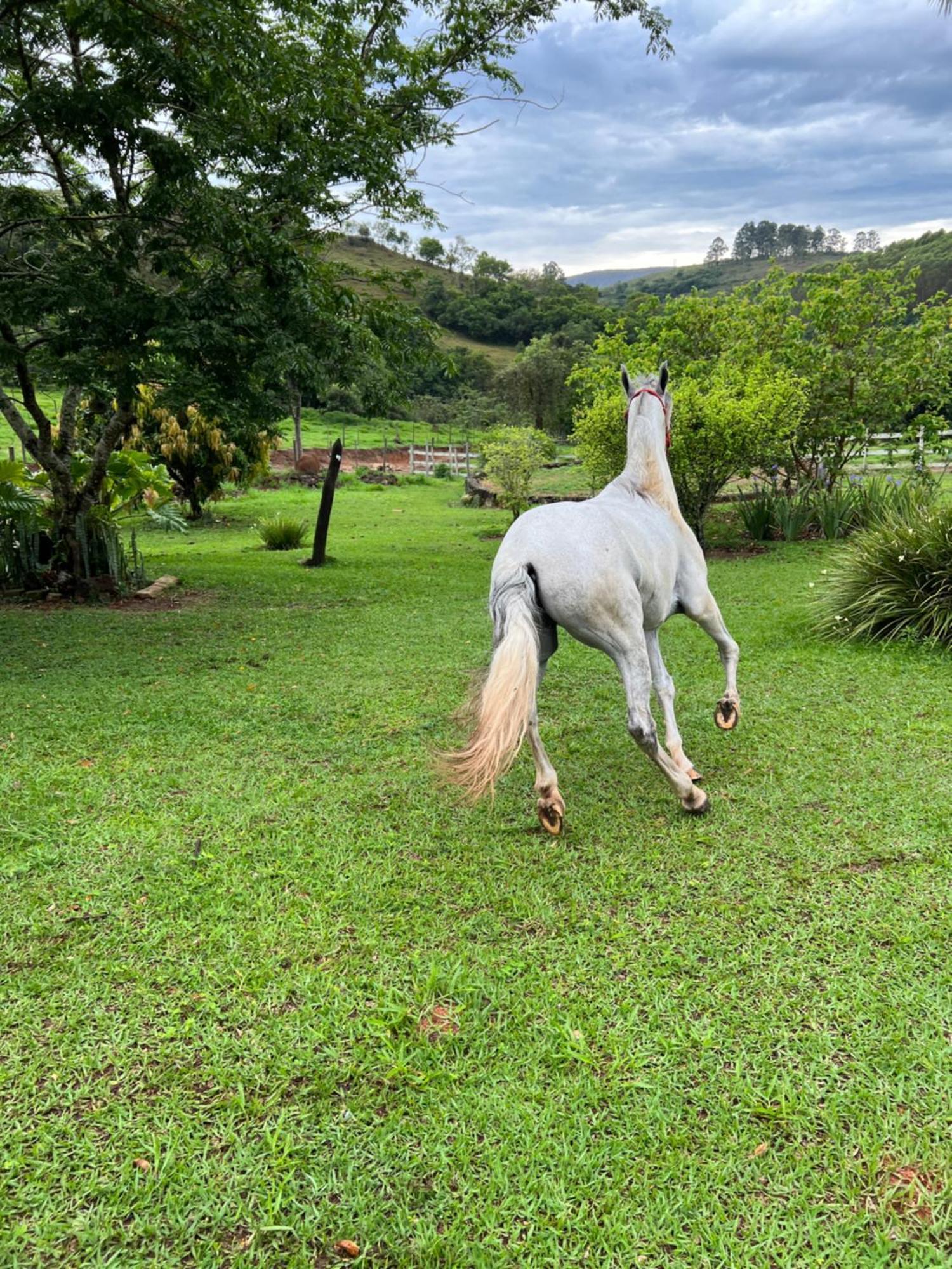 Fazenda Do Engenho 호텔 Santa Rita do Rio Abaixo 외부 사진