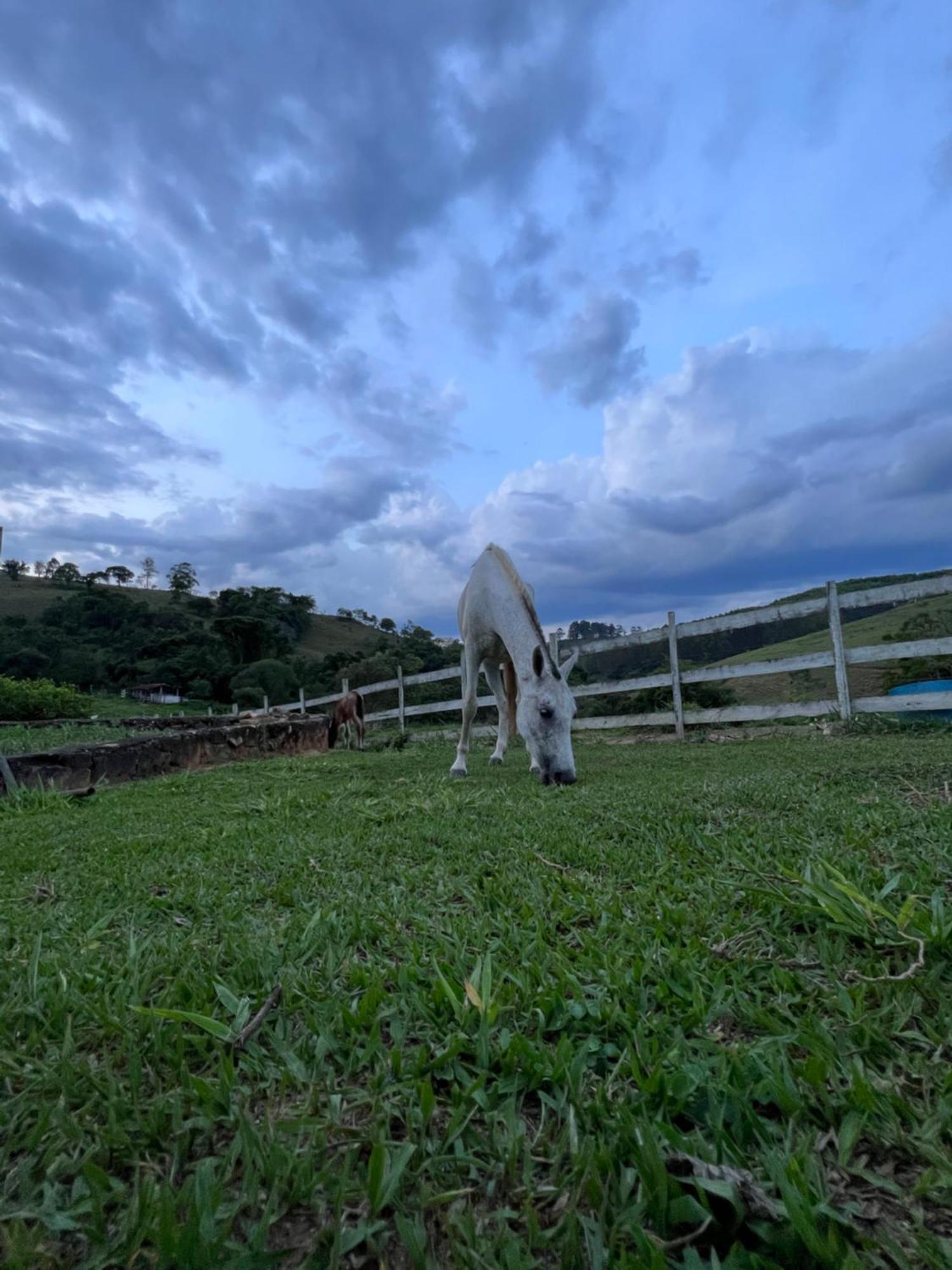 Fazenda Do Engenho 호텔 Santa Rita do Rio Abaixo 외부 사진
