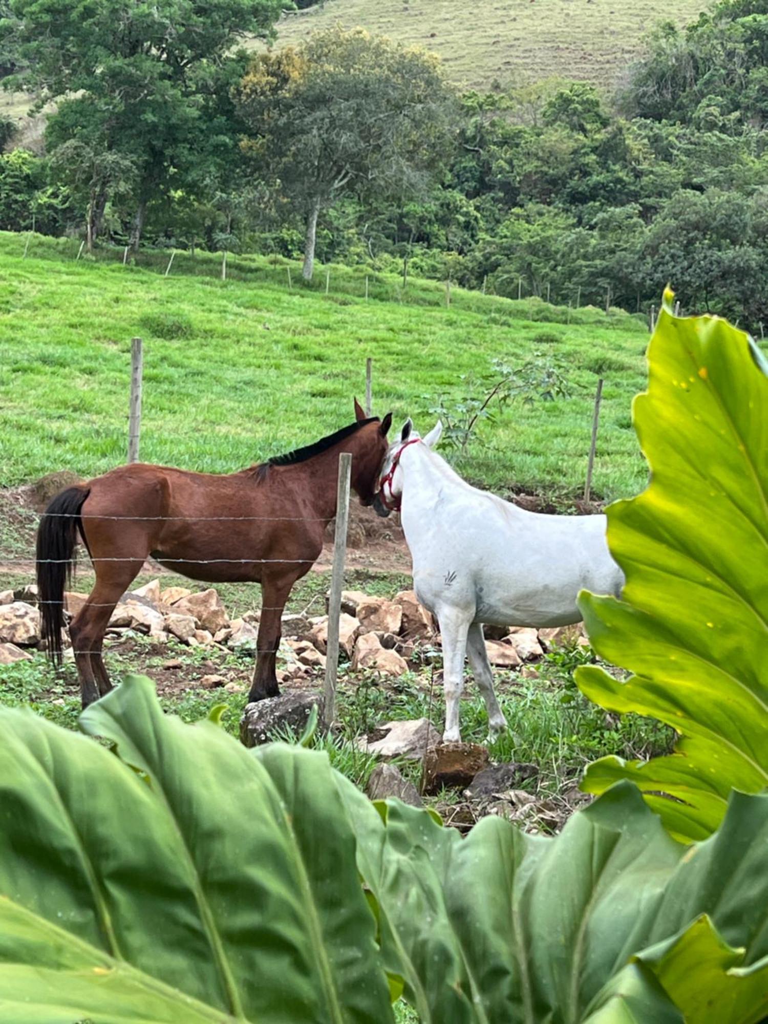 Fazenda Do Engenho 호텔 Santa Rita do Rio Abaixo 외부 사진