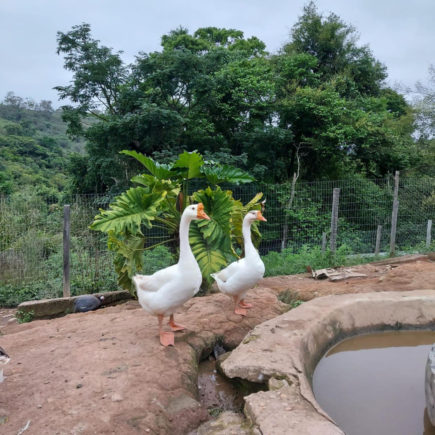 Fazenda Do Engenho 호텔 Santa Rita do Rio Abaixo 외부 사진