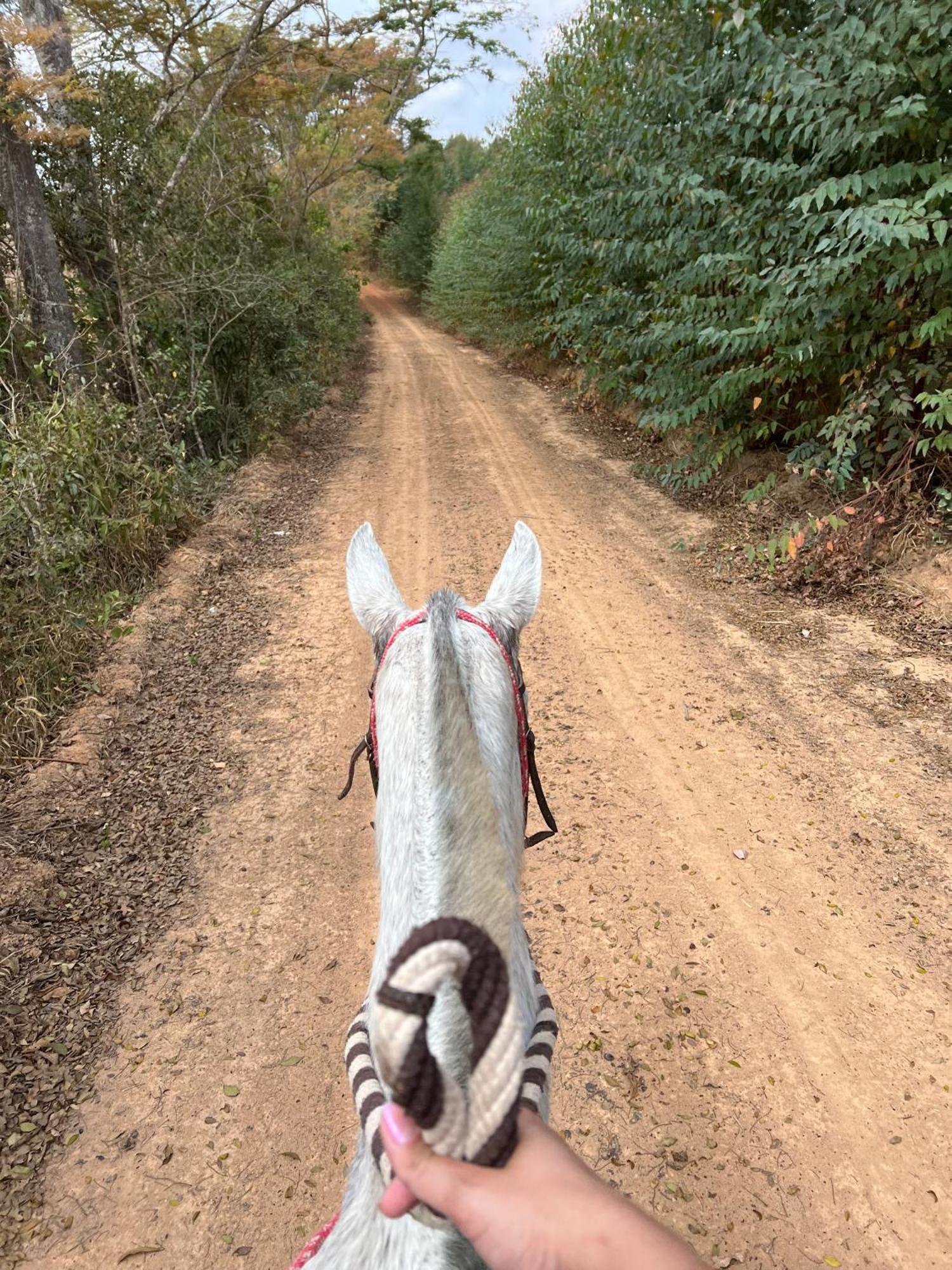 Fazenda Do Engenho 호텔 Santa Rita do Rio Abaixo 외부 사진